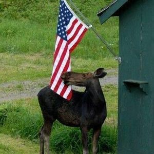 Meet your Posher, Derek